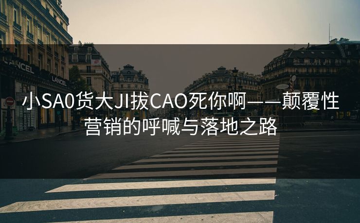 小SA0货大JI拔CAO死你啊——颠覆性营销的呼喊与落地之路 小SA0货大JI拔CAO死你啊——颠覆性营销的呼喊与落地之路