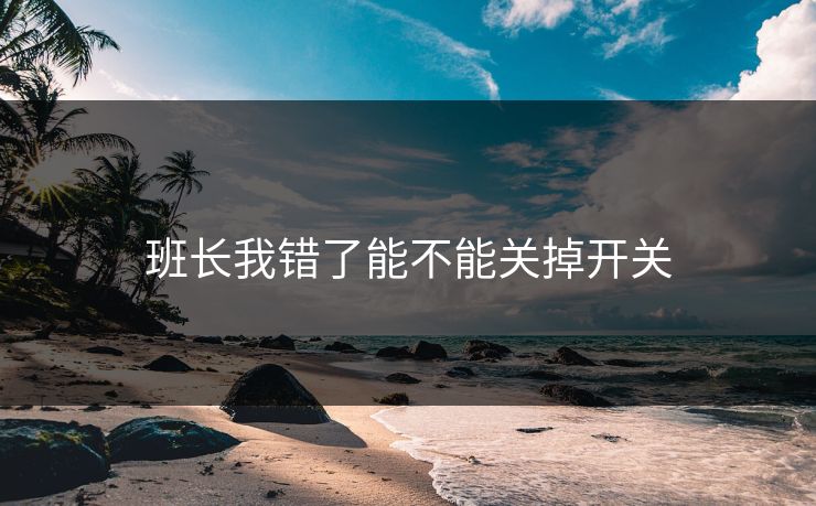 班长我错了能不能关掉开关