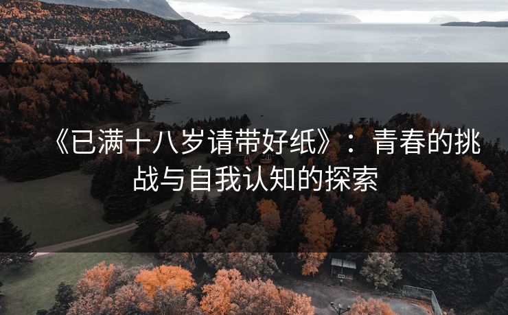 《已满十八岁请带好纸》:青春的挑战与自我认知的探索 《已满十八岁请带好纸》:青春的挑战与自我认知的探索