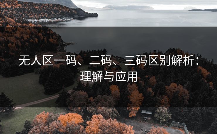 无人区一码、二码、三码区别解析：理解与应用