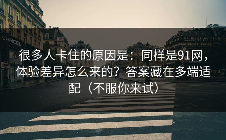 很多人卡住的原因是：同样是91网，体验差异怎么来的？答案藏在多端适配（不服你来试）
